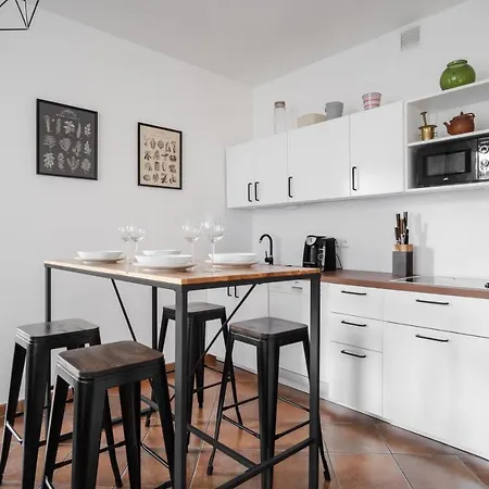 Spacious In Zizkov By Days Praha