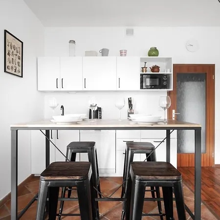Spacious In Zizkov By Days * Praha