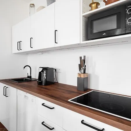 Spacious In Zizkov By Days * Praha