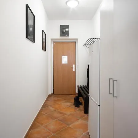 Spacious In Zizkov By Days * Praha